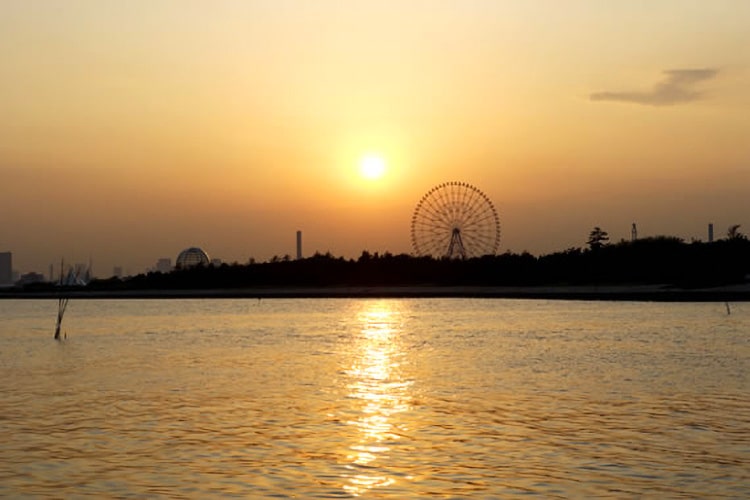 ディズニーコース